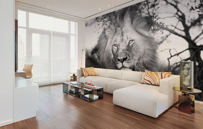 photo wallpaper with a lion