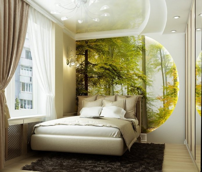 coniferous forest
