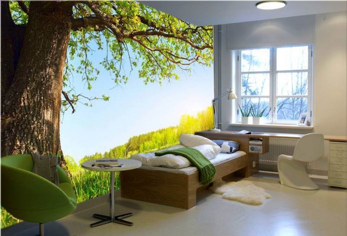 summer forest