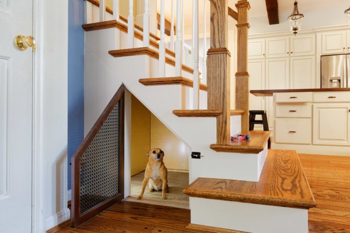 Dog house