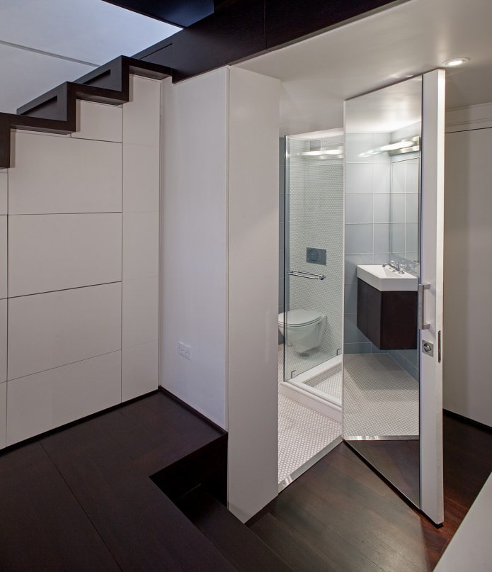 mirror door