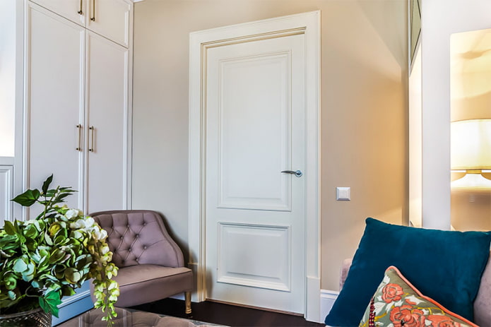 light paneled door