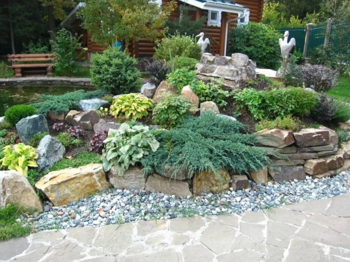 plants for an alpine slide