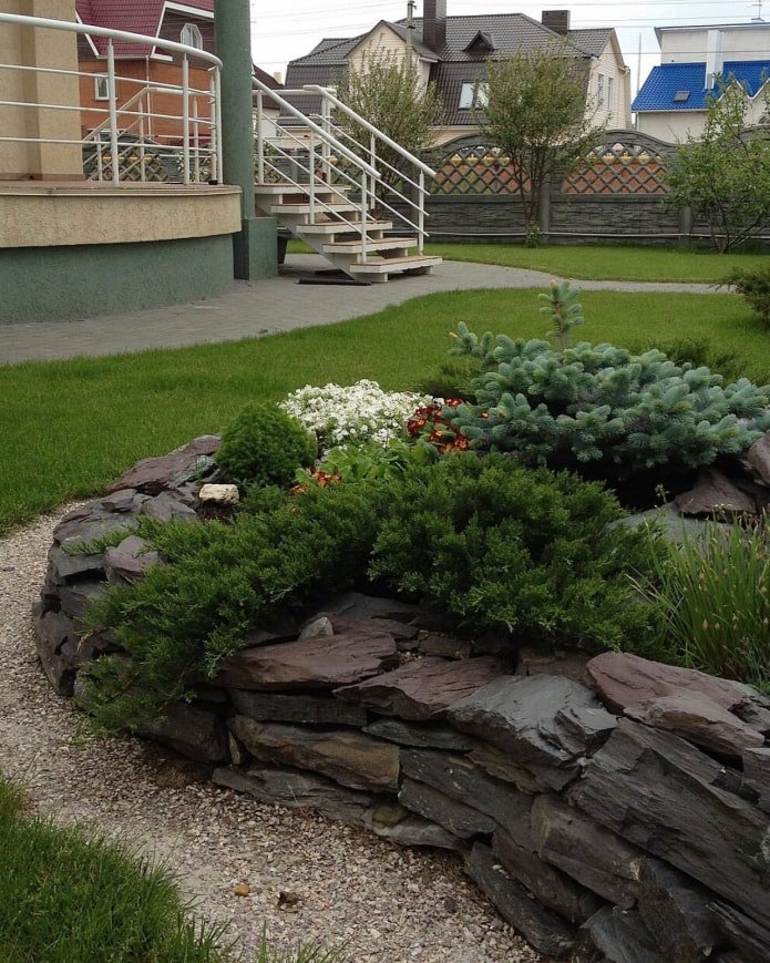 coniferous plants for an alpine slide