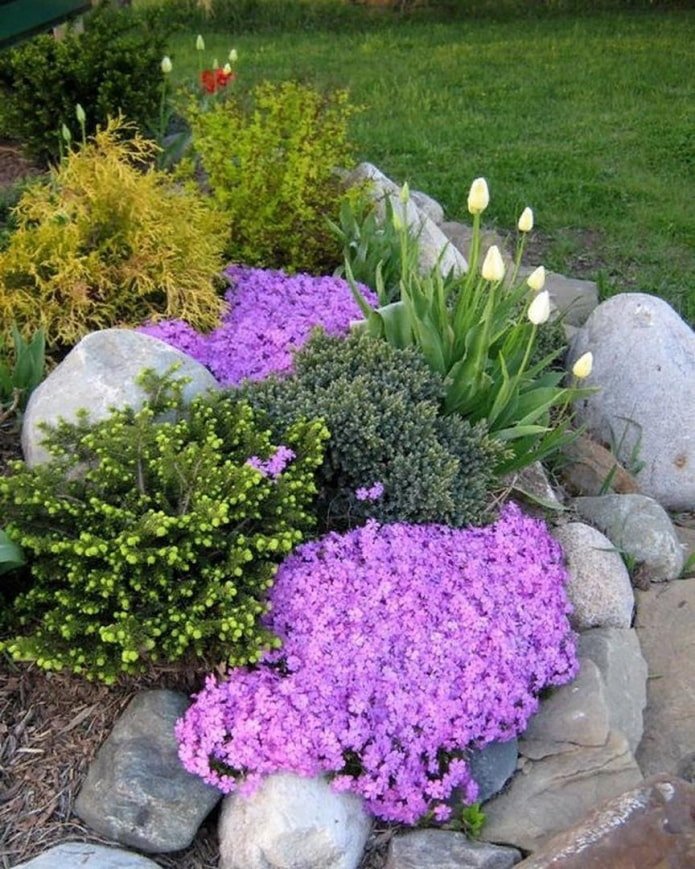 flowers for an alpine slide