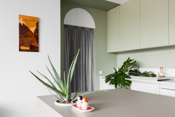 arch instead of a door in the kitchen interior