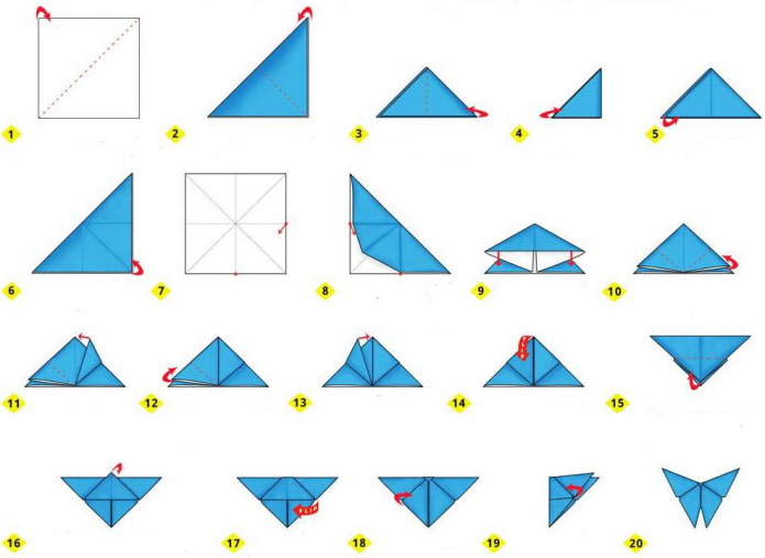 butterfly creation diagram