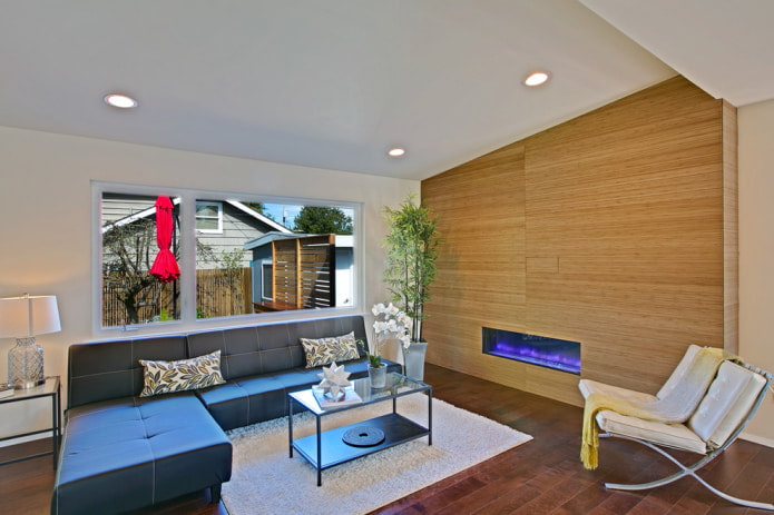 stylish living room in a modern style