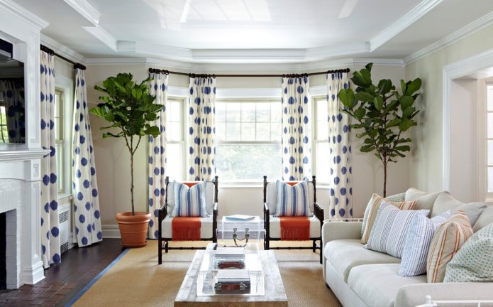 White and blue curtains