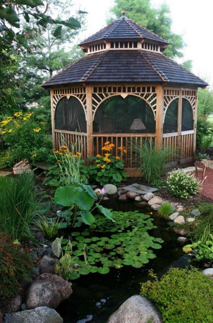 pond at the dacha