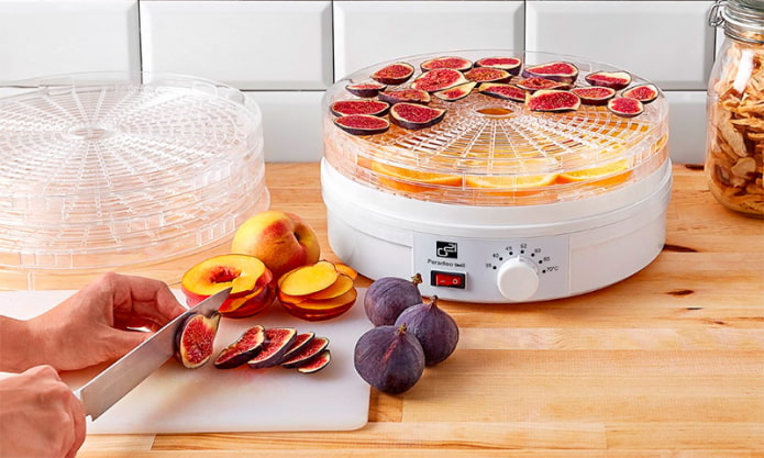 Fruit dryer