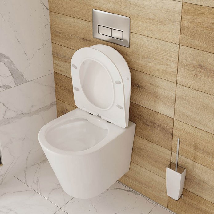 wall-hung rimless toilet