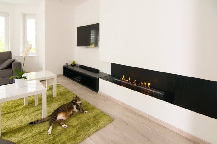 minimalist living room