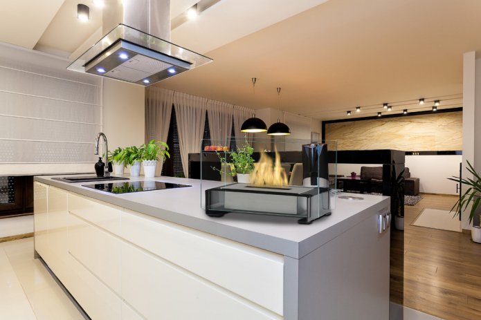 Glass design of a bio-fireplace