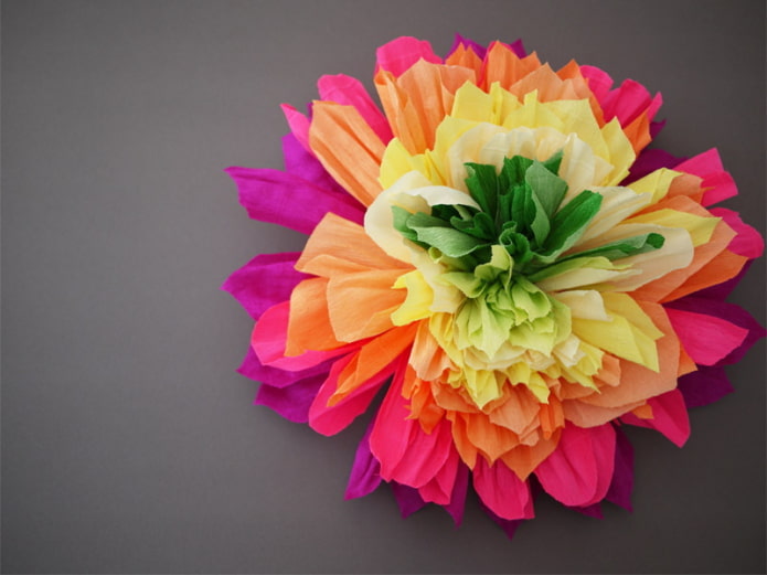 Big multi-colored flower