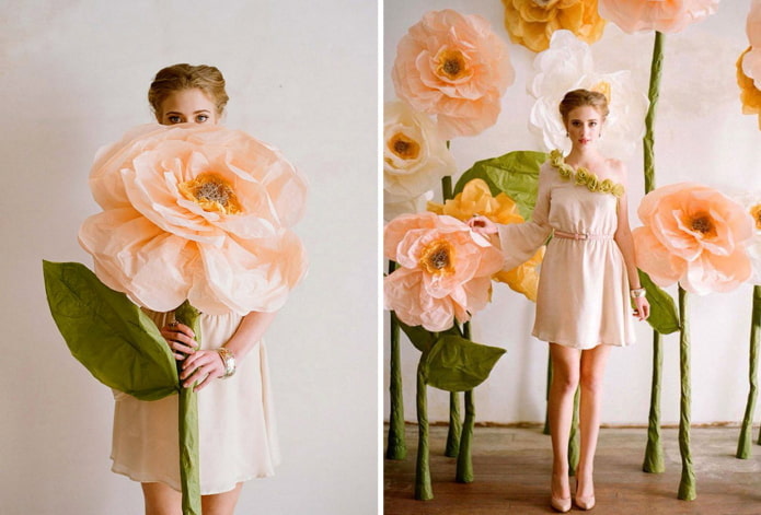 Growth flowers