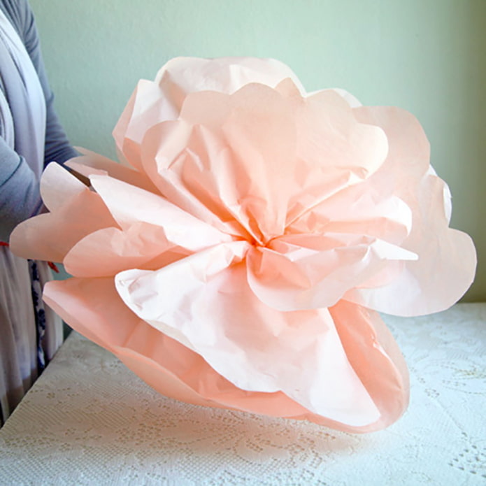 Collecting the flower 2