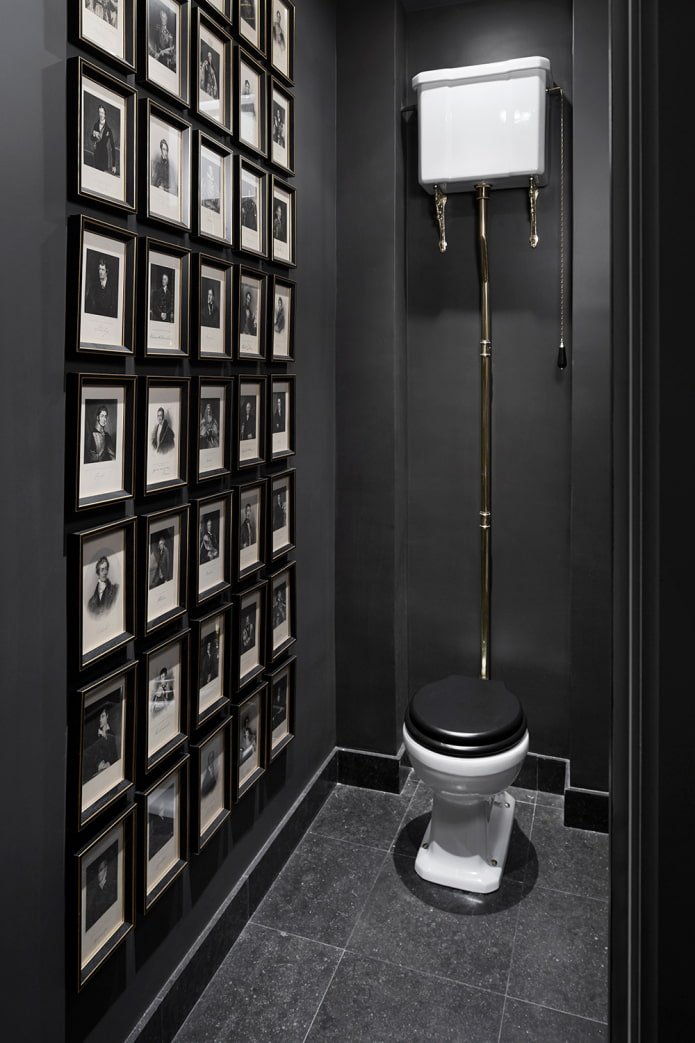 dark toilet