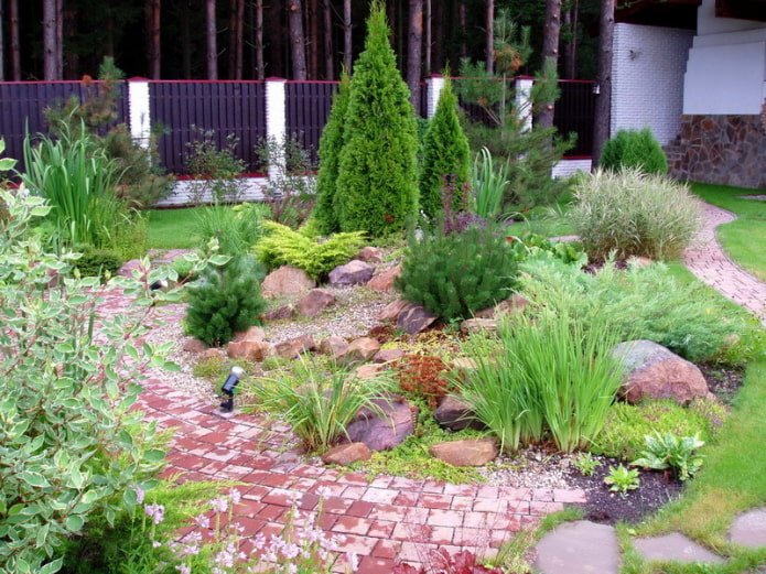 cereals in a flowerbed
