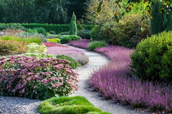 heather plantings