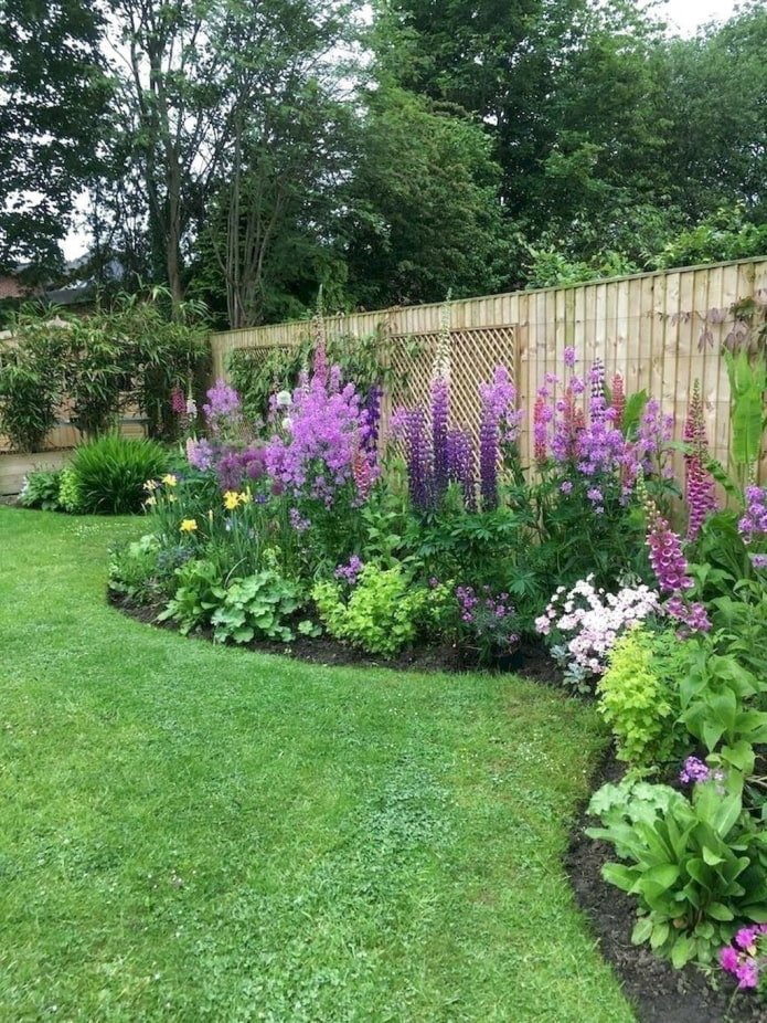 mixed border along the fence
