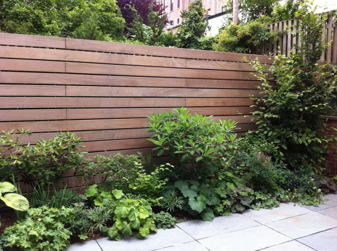 bushes near a wooden fence