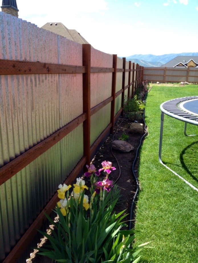 flowers near the fence made of corrugated sheet