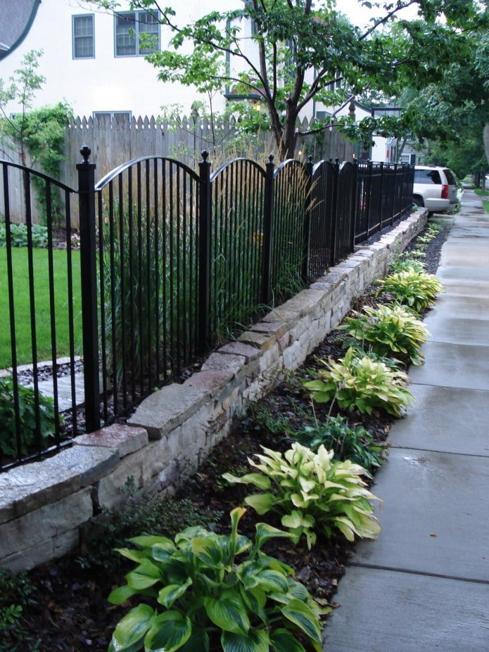 low bushes near a wrought iron fence