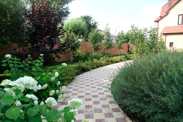 lots of greenery on the site