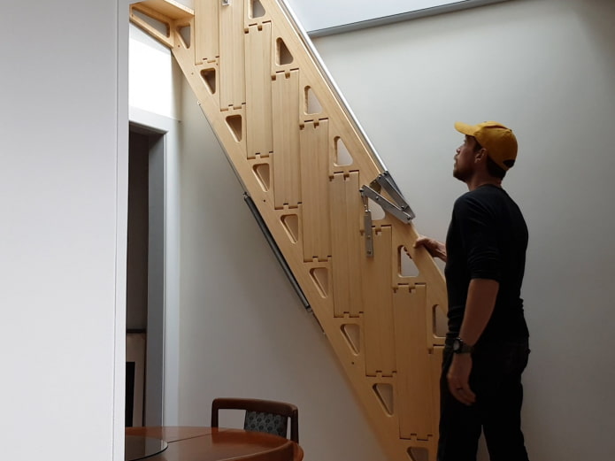 folding wall ladder