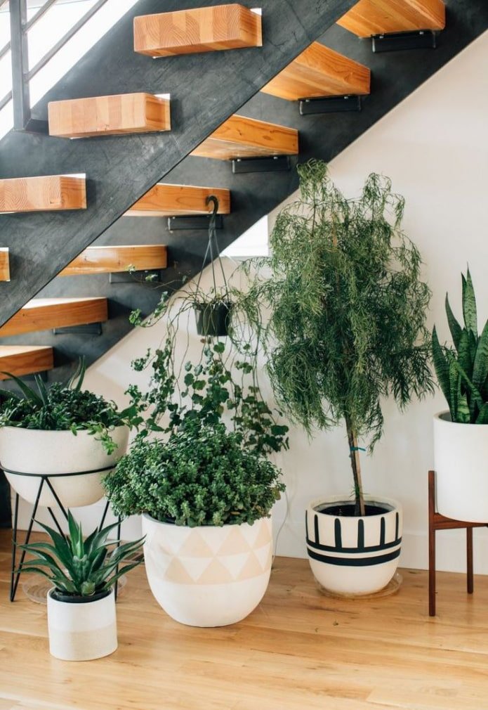 winter garden under the stairs