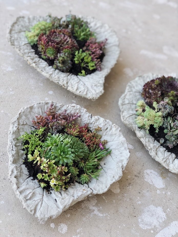 Concrete flowerpot