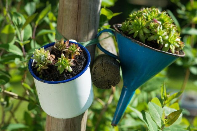 Flowers in a Funnel