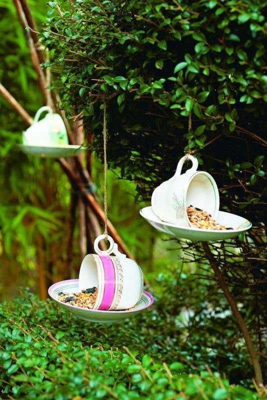 Cup feeders