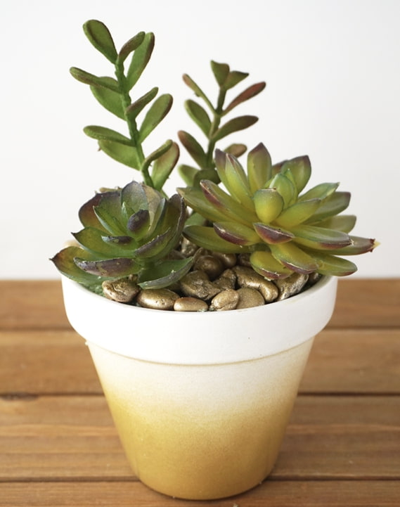 degradide on a gold-colored pot