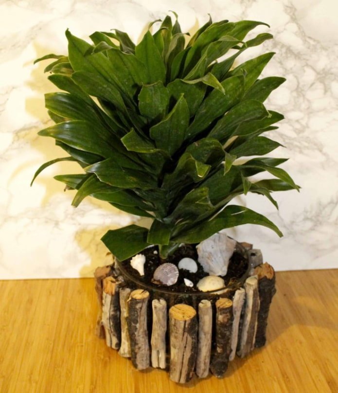 pot made of small sticks and shells