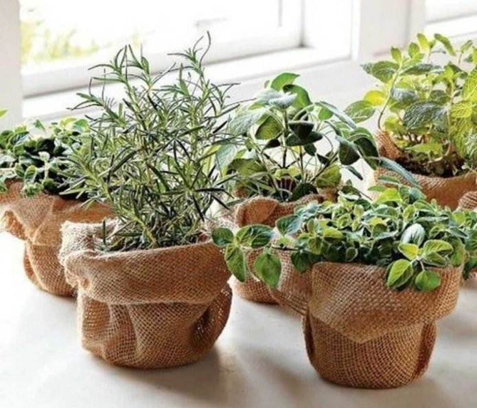 burlap on a pot