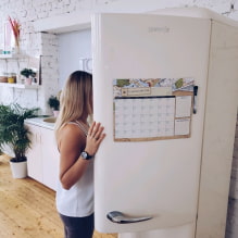 How to decorate a refrigerator with your own hands?-2