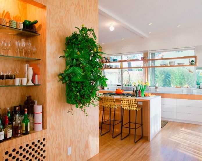 plants on the wall in the kitchen interior