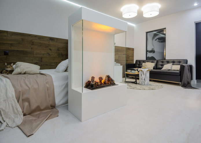 partition with a fireplace in the interior