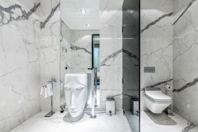 partition in the bathroom interior