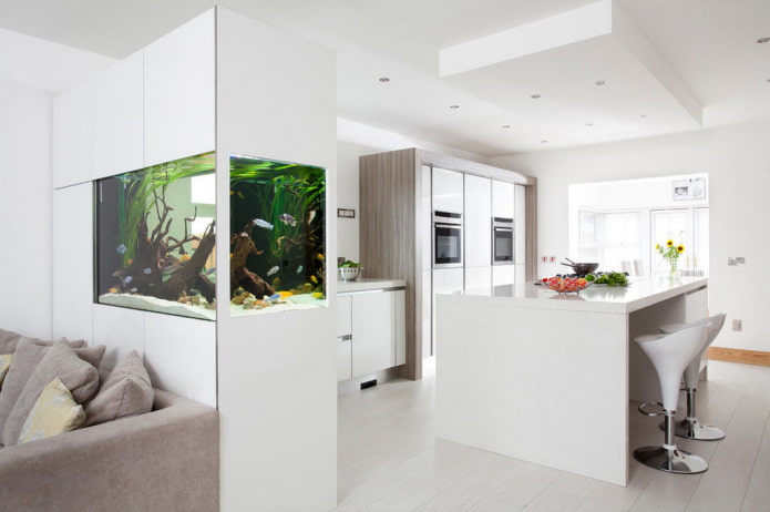 partition with an aquarium in the interior