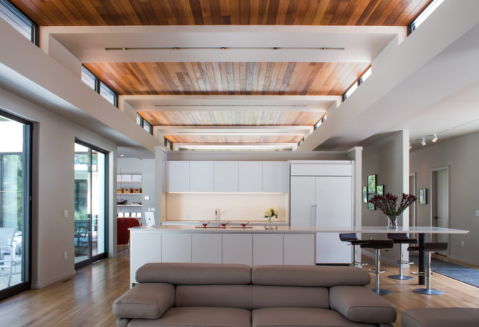 combined ceiling in the interior