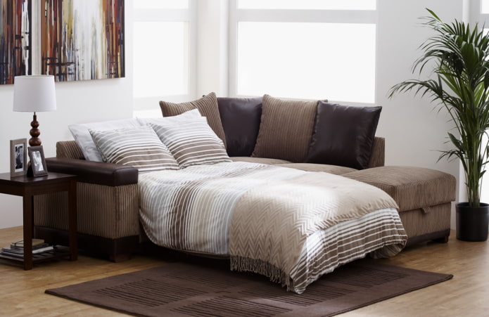 corner fold-out sofa in the interior
