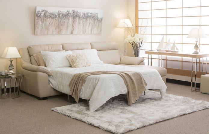 folding sofa with a soft back in the interior