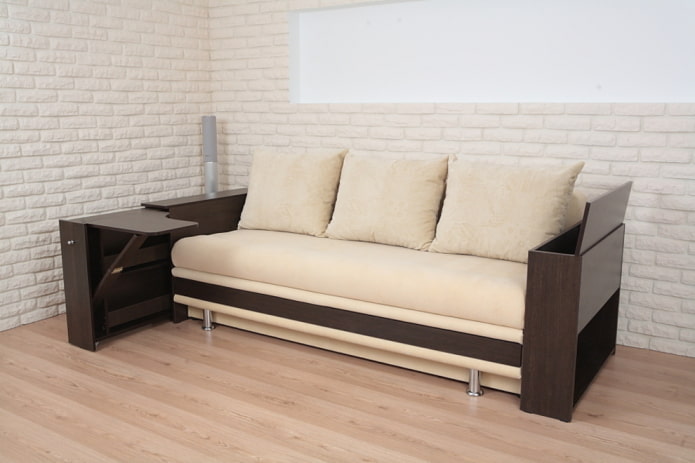 folding sofa with a cabinet in the interior