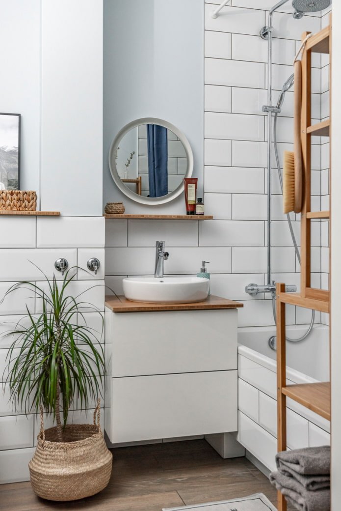 Plant in the bathroom