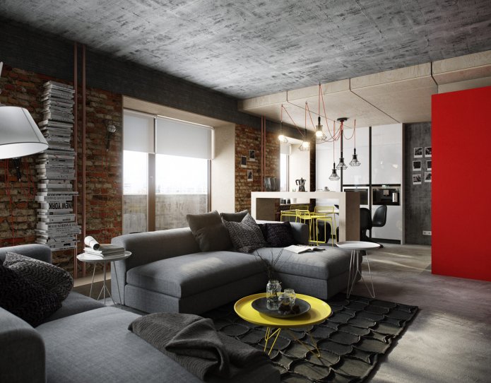 apartment in the loft style