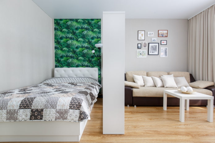 zoning of a living room of 16 sq