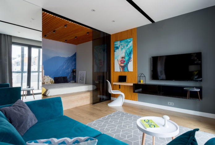 zoning of a living room of 16 sq